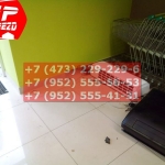 IMG-20191025-WA0392