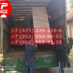 IMG-20191025-WA0458