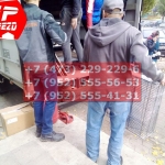 IMG-20191025-WA0510