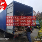 IMG-20191029-WA0075