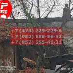 IMG-20191029-WA0087