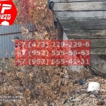 IMG-20191029-WA0094