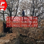 IMG-20191029-WA0103