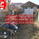 IMG-20191029-WA0104