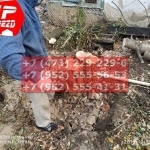 IMG-20191029-WA0107
