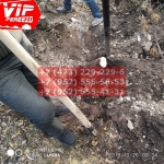 IMG-20191029-WA0112