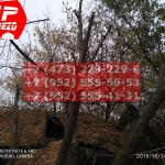 IMG-20191029-WA0114