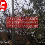 IMG-20191029-WA0115