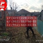 IMG-20191029-WA0116