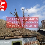 IMG-20191029-WA0127