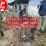 IMG-20191029-WA0132