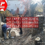 IMG-20191029-WA0133