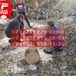 IMG-20191029-WA0136