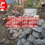 IMG-20191029-WA0146