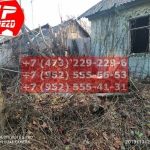 IMG-20191029-WA0150