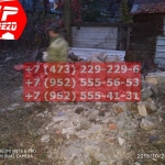 IMG-20191029-WA0152