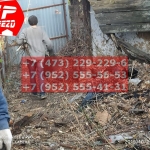 IMG-20191029-WA0154