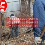 IMG-20191029-WA0158