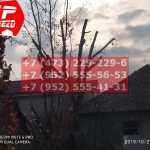 IMG-20191029-WA0164