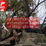 IMG-20191029-WA0172