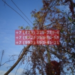 IMG-20191029-WA0177