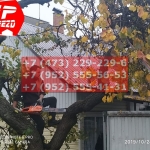 IMG-20191029-WA0183