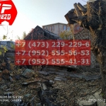 IMG-20191029-WA0196