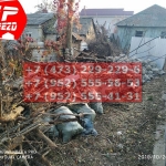 IMG-20191029-WA0198
