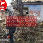 IMG-20191029-WA0205
