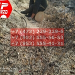 IMG-20191029-WA0210