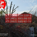 IMG-20191029-WA0213