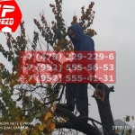 IMG-20191029-WA0214
