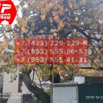 IMG-20191029-WA0215
