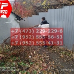 IMG-20191029-WA0216