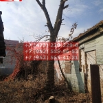 IMG-20191029-WA0226