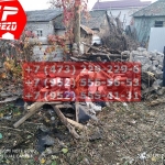 IMG-20191029-WA0227