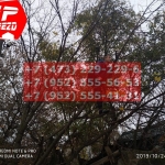 IMG-20191029-WA0228