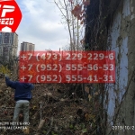 IMG-20191029-WA0237