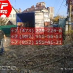 IMG-20191029-WA0249