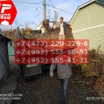 IMG-20191029-WA0259